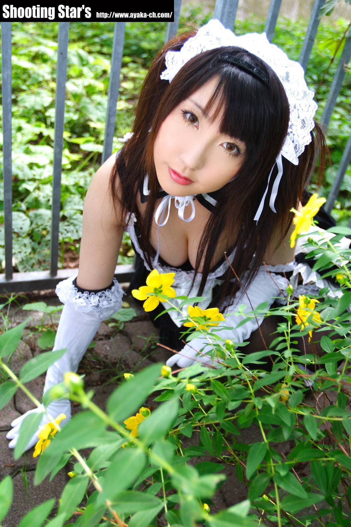 [Cosplay]  Sexy Maid with big boobs